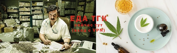 тгк Михайлов