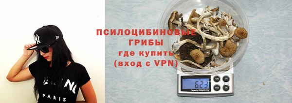 твердый Нягань