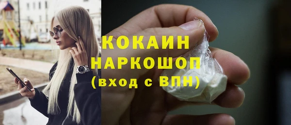 тгк Михайлов