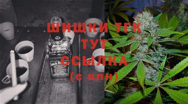 тгк Михайлов