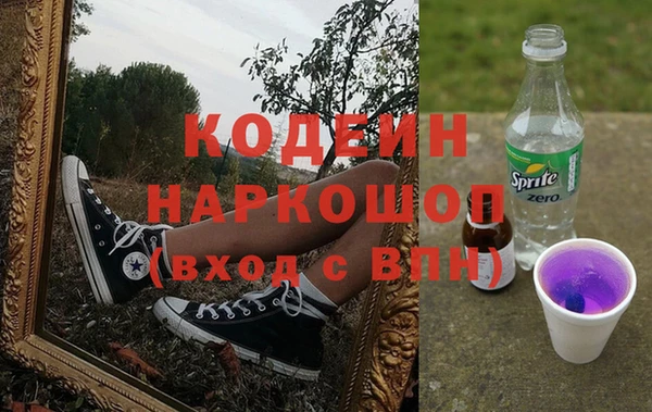 индика Михайловка