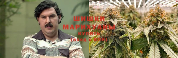 индика Михайловка