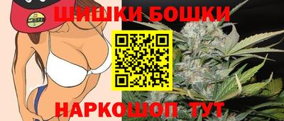 индика Аргун