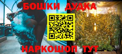 индика Аргун