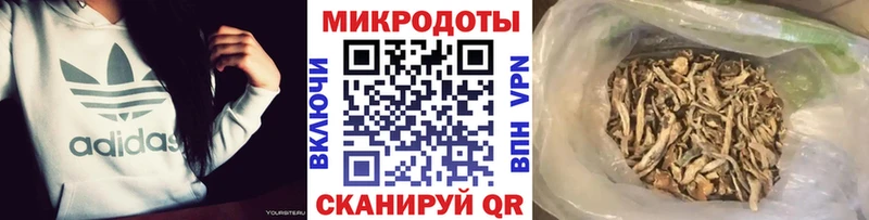 Псилоцибиновые грибы мицелий  Бердск 