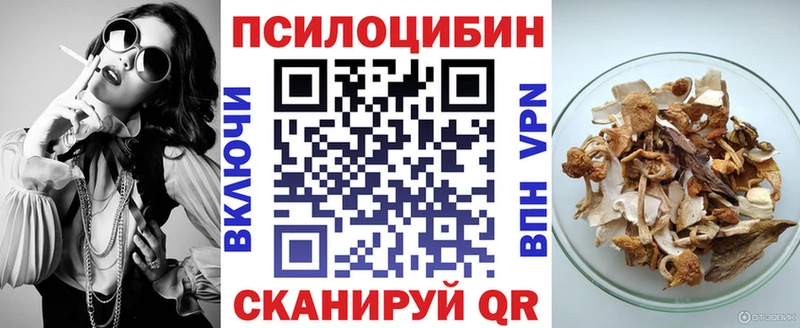 Галлюциногенные грибы Psilocybe Бердск