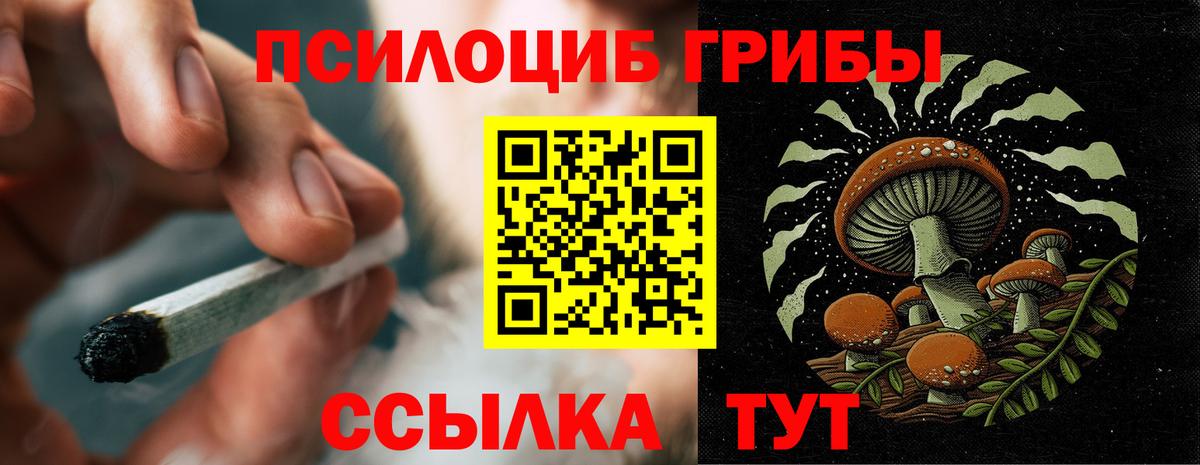 Псилоцибиновые грибы Cubensis  Вход с VPN  Бердск 
