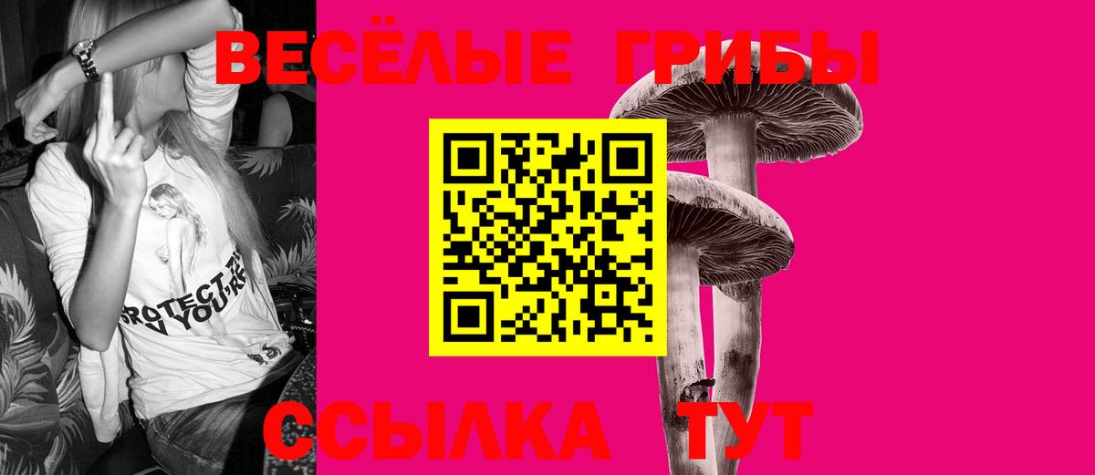 Псилоцибиновые грибы прущие грибы Бердск