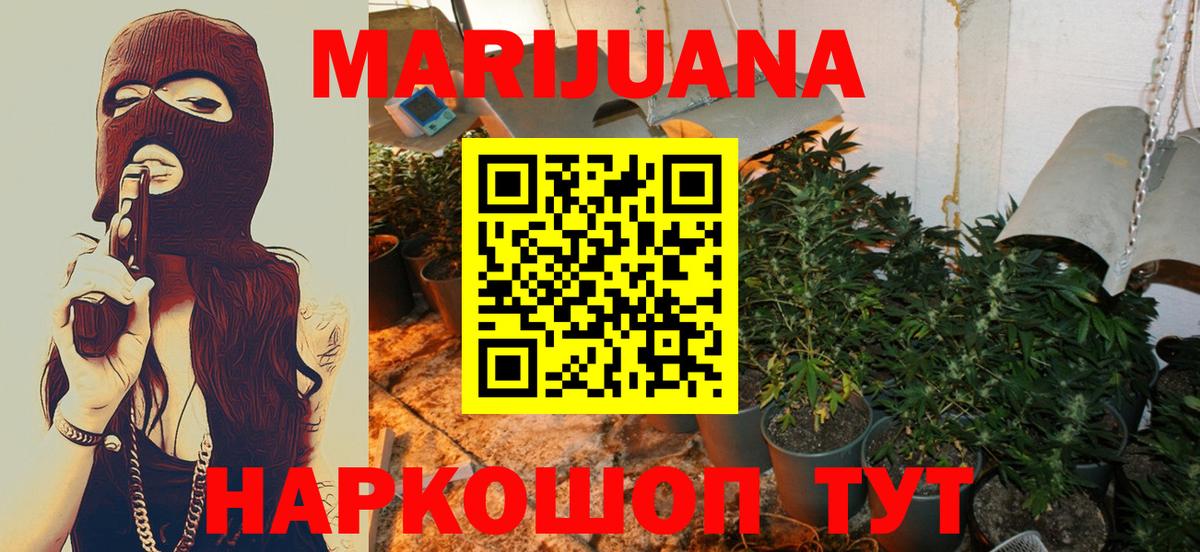Шишки марихуана план  Канабис тримм  Бердск  МАРИХУАНА OG Kush 